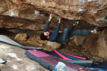 Bouldering in Hueco Tanks on 11/25/2019 with Blue Lizard Climbing and Yoga

Filename: SRM_20191125_1626170.jpg
Aperture: f/2.8
Shutter Speed: 1/320
Body: Canon EOS-1D Mark II
Lens: Canon EF 50mm f/1.8 II