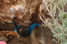 Bouldering in Hueco Tanks on 11/26/2019 with Blue Lizard Climbing and Yoga

Filename: SRM_20191126_1546391.jpg
Aperture: f/4.0
Shutter Speed: 1/250
Body: Canon EOS-1D Mark II
Lens: Canon EF 50mm f/1.8 II