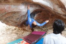 Bouldering in Hueco Tanks on 11/27/2019 with Blue Lizard Climbing and Yoga

Filename: SRM_20191127_1050480.jpg
Aperture: f/2.8
Shutter Speed: 1/250
Body: Canon EOS-1D Mark II
Lens: Canon EF 50mm f/1.8 II