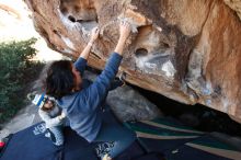 Bouldering in Hueco Tanks on 11/29/2019 with Blue Lizard Climbing and Yoga

Filename: SRM_20191129_1503470.jpg
Aperture: f/5.0
Shutter Speed: 1/250
Body: Canon EOS-1D Mark II
Lens: Canon EF 16-35mm f/2.8 L