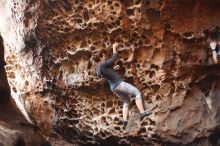 Bouldering in Hueco Tanks on 12/06/2019 with Blue Lizard Climbing and Yoga

Filename: SRM_20191206_1531210.jpg
Aperture: f/2.2
Shutter Speed: 1/160
Body: Canon EOS-1D Mark II
Lens: Canon EF 50mm f/1.8 II