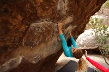 Bouldering in Hueco Tanks on 12/19/2019 with Blue Lizard Climbing and Yoga

Filename: SRM_20191219_1446461.jpg
Aperture: f/4.0
Shutter Speed: 1/200
Body: Canon EOS-1D Mark II
Lens: Canon EF 16-35mm f/2.8 L