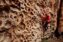 Bouldering in Hueco Tanks on 12/19/2019 with Blue Lizard Climbing and Yoga

Filename: SRM_20191219_1626480.jpg
Aperture: f/3.2
Shutter Speed: 1/160
Body: Canon EOS-1D Mark II
Lens: Canon EF 16-35mm f/2.8 L