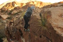 Bouldering in Hueco Tanks on 12/19/2019 with Blue Lizard Climbing and Yoga

Filename: SRM_20191219_1753330.jpg
Aperture: f/5.0
Shutter Speed: 1/250
Body: Canon EOS-1D Mark II
Lens: Canon EF 50mm f/1.8 II