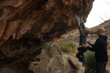 Bouldering in Hueco Tanks on 12/23/2019 with Blue Lizard Climbing and Yoga

Filename: SRM_20191223_1045270.jpg
Aperture: f/5.6
Shutter Speed: 1/500
Body: Canon EOS-1D Mark II
Lens: Canon EF 50mm f/1.8 II