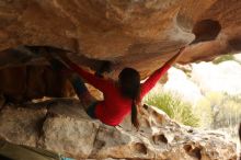 Bouldering in Hueco Tanks on 12/24/2019 with Blue Lizard Climbing and Yoga

Filename: SRM_20191224_1607530.jpg
Aperture: f/3.2
Shutter Speed: 1/200
Body: Canon EOS-1D Mark II
Lens: Canon EF 50mm f/1.8 II