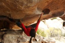 Bouldering in Hueco Tanks on 12/24/2019 with Blue Lizard Climbing and Yoga

Filename: SRM_20191224_1608030.jpg
Aperture: f/4.0
Shutter Speed: 1/200
Body: Canon EOS-1D Mark II
Lens: Canon EF 50mm f/1.8 II