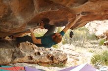 Bouldering in Hueco Tanks on 12/24/2019 with Blue Lizard Climbing and Yoga

Filename: SRM_20191224_1611260.jpg
Aperture: f/3.5
Shutter Speed: 1/200
Body: Canon EOS-1D Mark II
Lens: Canon EF 50mm f/1.8 II