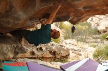 Bouldering in Hueco Tanks on 12/24/2019 with Blue Lizard Climbing and Yoga

Filename: SRM_20191224_1611310.jpg
Aperture: f/4.0
Shutter Speed: 1/200
Body: Canon EOS-1D Mark II
Lens: Canon EF 50mm f/1.8 II