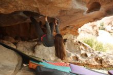 Bouldering in Hueco Tanks on 12/24/2019 with Blue Lizard Climbing and Yoga

Filename: SRM_20191224_1618410.jpg
Aperture: f/2.5
Shutter Speed: 1/200
Body: Canon EOS-1D Mark II
Lens: Canon EF 50mm f/1.8 II