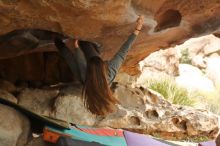 Bouldering in Hueco Tanks on 12/24/2019 with Blue Lizard Climbing and Yoga

Filename: SRM_20191224_1618530.jpg
Aperture: f/4.0
Shutter Speed: 1/250
Body: Canon EOS-1D Mark II
Lens: Canon EF 50mm f/1.8 II