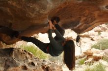 Bouldering in Hueco Tanks on 12/24/2019 with Blue Lizard Climbing and Yoga

Filename: SRM_20191224_1619080.jpg
Aperture: f/5.0
Shutter Speed: 1/250
Body: Canon EOS-1D Mark II
Lens: Canon EF 50mm f/1.8 II