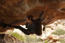 Bouldering in Hueco Tanks on 12/24/2019 with Blue Lizard Climbing and Yoga

Filename: SRM_20191224_1619090.jpg
Aperture: f/4.0
Shutter Speed: 1/250
Body: Canon EOS-1D Mark II
Lens: Canon EF 50mm f/1.8 II