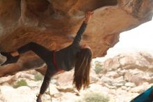 Bouldering in Hueco Tanks on 12/24/2019 with Blue Lizard Climbing and Yoga

Filename: SRM_20191224_1632110.jpg
Aperture: f/3.2
Shutter Speed: 1/250
Body: Canon EOS-1D Mark II
Lens: Canon EF 50mm f/1.8 II