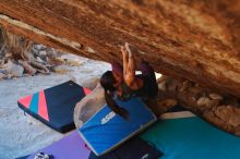 Bouldering in Hueco Tanks on 12/26/2019 with Blue Lizard Climbing and Yoga

Filename: SRM_20191226_1743320.jpg
Aperture: f/3.5
Shutter Speed: 1/320
Body: Canon EOS-1D Mark II
Lens: Canon EF 50mm f/1.8 II