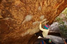 Bouldering in Hueco Tanks on 12/27/2019 with Blue Lizard Climbing and Yoga

Filename: SRM_20191227_1237400.jpg
Aperture: f/4.5
Shutter Speed: 1/250
Body: Canon EOS-1D Mark II
Lens: Canon EF 16-35mm f/2.8 L