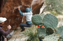 Bouldering in Hueco Tanks on 12/28/2019 with Blue Lizard Climbing and Yoga

Filename: SRM_20191228_1444210.jpg
Aperture: f/3.2
Shutter Speed: 1/250
Body: Canon EOS-1D Mark II
Lens: Canon EF 50mm f/1.8 II