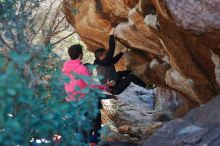 Bouldering in Hueco Tanks on 12/30/2019 with Blue Lizard Climbing and Yoga

Filename: SRM_20191230_1308420.jpg
Aperture: f/4.0
Shutter Speed: 1/250
Body: Canon EOS-1D Mark II
Lens: Canon EF 50mm f/1.8 II