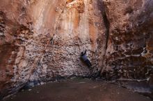 Bouldering in Hueco Tanks on 12/30/2019 with Blue Lizard Climbing and Yoga

Filename: SRM_20191230_1454280.jpg
Aperture: f/4.0
Shutter Speed: 1/100
Body: Canon EOS-1D Mark II
Lens: Canon EF 16-35mm f/2.8 L