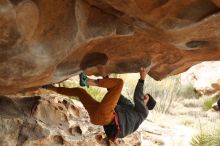 Bouldering in Hueco Tanks on 01/02/2020 with Blue Lizard Climbing and Yoga

Filename: SRM_20200102_1141431.jpg
Aperture: f/3.2
Shutter Speed: 1/250
Body: Canon EOS-1D Mark II
Lens: Canon EF 50mm f/1.8 II