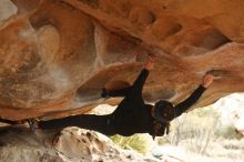 Bouldering in Hueco Tanks on 01/02/2020 with Blue Lizard Climbing and Yoga

Filename: SRM_20200102_1151121.jpg
Aperture: f/3.2
Shutter Speed: 1/250
Body: Canon EOS-1D Mark II
Lens: Canon EF 50mm f/1.8 II