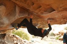 Bouldering in Hueco Tanks on 01/02/2020 with Blue Lizard Climbing and Yoga

Filename: SRM_20200102_1151160.jpg
Aperture: f/3.2
Shutter Speed: 1/250
Body: Canon EOS-1D Mark II
Lens: Canon EF 50mm f/1.8 II