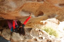 Bouldering in Hueco Tanks on 01/02/2020 with Blue Lizard Climbing and Yoga

Filename: SRM_20200102_1153150.jpg
Aperture: f/2.8
Shutter Speed: 1/250
Body: Canon EOS-1D Mark II
Lens: Canon EF 50mm f/1.8 II