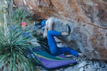 Bouldering in Hueco Tanks on 01/05/2020 with Blue Lizard Climbing and Yoga

Filename: SRM_20200105_1622010.jpg
Aperture: f/3.2
Shutter Speed: 1/250
Body: Canon EOS-1D Mark II
Lens: Canon EF 50mm f/1.8 II