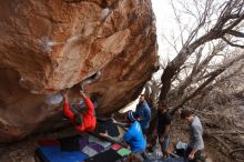 Bouldering in Hueco Tanks on 01/04/2020 with Blue Lizard Climbing and Yoga

Filename: SRM_20200104_1246390.jpg
Aperture: f/5.6
Shutter Speed: 1/250
Body: Canon EOS-1D Mark II
Lens: Canon EF 16-35mm f/2.8 L