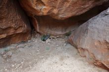 Bouldering in Hueco Tanks on 01/08/2020 with Blue Lizard Climbing and Yoga

Filename: SRM_20200108_1800430.jpg
Aperture: f/3.2
Shutter Speed: 1/100
Body: Canon EOS-1D Mark II
Lens: Canon EF 16-35mm f/2.8 L