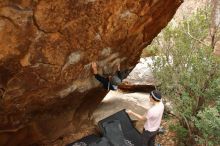 Bouldering in Hueco Tanks on 01/16/2020 with Blue Lizard Climbing and Yoga

Filename: SRM_20200116_1049170.jpg
Aperture: f/4.5
Shutter Speed: 1/250
Body: Canon EOS-1D Mark II
Lens: Canon EF 16-35mm f/2.8 L