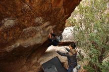 Bouldering in Hueco Tanks on 01/16/2020 with Blue Lizard Climbing and Yoga

Filename: SRM_20200116_1056010.jpg
Aperture: f/5.0
Shutter Speed: 1/250
Body: Canon EOS-1D Mark II
Lens: Canon EF 16-35mm f/2.8 L