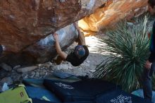 Bouldering in Hueco Tanks on 01/18/2020 with Blue Lizard Climbing and Yoga

Filename: SRM_20200118_1127570.jpg
Aperture: f/3.5
Shutter Speed: 1/320
Body: Canon EOS-1D Mark II
Lens: Canon EF 50mm f/1.8 II