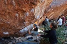 Bouldering in Hueco Tanks on 01/18/2020 with Blue Lizard Climbing and Yoga

Filename: SRM_20200118_1148030.jpg
Aperture: f/5.0
Shutter Speed: 1/250
Body: Canon EOS-1D Mark II
Lens: Canon EF 16-35mm f/2.8 L