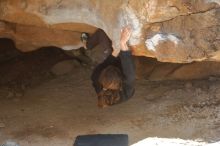 Bouldering in Hueco Tanks on 01/19/2020 with Blue Lizard Climbing and Yoga

Filename: SRM_20200119_1435510.jpg
Aperture: f/3.2
Shutter Speed: 1/320
Body: Canon EOS-1D Mark II
Lens: Canon EF 50mm f/1.8 II