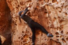 Bouldering in Hueco Tanks on 01/26/2020 with Blue Lizard Climbing and Yoga

Filename: SRM_20200126_1300080.jpg
Aperture: f/3.2
Shutter Speed: 1/125
Body: Canon EOS-1D Mark II
Lens: Canon EF 50mm f/1.8 II