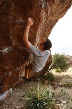 Bouldering in Hueco Tanks on 01/27/2020 with Blue Lizard Climbing and Yoga

Filename: SRM_20200127_1513010.jpg
Aperture: f/6.3
Shutter Speed: 1/250
Body: Canon EOS-1D Mark II
Lens: Canon EF 16-35mm f/2.8 L