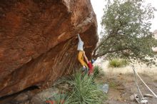 Bouldering in Hueco Tanks on 01/27/2020 with Blue Lizard Climbing and Yoga

Filename: SRM_20200127_1523590.jpg
Aperture: f/6.3
Shutter Speed: 1/250
Body: Canon EOS-1D Mark II
Lens: Canon EF 16-35mm f/2.8 L