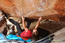 Bouldering in Hueco Tanks on 01/27/2020 with Blue Lizard Climbing and Yoga

Filename: SRM_20200127_1555160.jpg
Aperture: f/3.5
Shutter Speed: 1/250
Body: Canon EOS-1D Mark II
Lens: Canon EF 16-35mm f/2.8 L