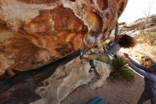 Bouldering in Hueco Tanks on 02/01/2020 with Blue Lizard Climbing and Yoga

Filename: SRM_20200201_1109320.jpg
Aperture: f/7.1
Shutter Speed: 1/250
Body: Canon EOS-1D Mark II
Lens: Canon EF 16-35mm f/2.8 L