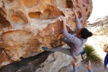 Bouldering in Hueco Tanks on 02/01/2020 with Blue Lizard Climbing and Yoga

Filename: SRM_20200201_1130080.jpg
Aperture: f/5.0
Shutter Speed: 1/250
Body: Canon EOS-1D Mark II
Lens: Canon EF 16-35mm f/2.8 L