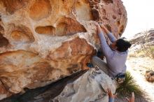 Bouldering in Hueco Tanks on 02/01/2020 with Blue Lizard Climbing and Yoga

Filename: SRM_20200201_1130110.jpg
Aperture: f/5.6
Shutter Speed: 1/250
Body: Canon EOS-1D Mark II
Lens: Canon EF 16-35mm f/2.8 L