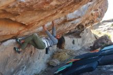 Bouldering in Hueco Tanks on 02/01/2020 with Blue Lizard Climbing and Yoga

Filename: SRM_20200201_1158470.jpg
Aperture: f/4.0
Shutter Speed: 1/250
Body: Canon EOS-1D Mark II
Lens: Canon EF 50mm f/1.8 II