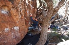 Bouldering in Hueco Tanks on 02/08/2020 with Blue Lizard Climbing and Yoga

Filename: SRM_20200208_1122480.jpg
Aperture: f/5.0
Shutter Speed: 1/250
Body: Canon EOS-1D Mark II
Lens: Canon EF 16-35mm f/2.8 L