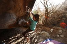 Bouldering in Hueco Tanks on 02/08/2020 with Blue Lizard Climbing and Yoga

Filename: SRM_20200208_1634290.jpg
Aperture: f/6.3
Shutter Speed: 1/250
Body: Canon EOS-1D Mark II
Lens: Canon EF 16-35mm f/2.8 L