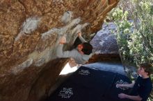 Bouldering in Hueco Tanks on 02/16/2020 with Blue Lizard Climbing and Yoga

Filename: SRM_20200216_1210220.jpg
Aperture: f/5.0
Shutter Speed: 1/320
Body: Canon EOS-1D Mark II
Lens: Canon EF 16-35mm f/2.8 L