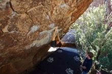 Bouldering in Hueco Tanks on 02/16/2020 with Blue Lizard Climbing and Yoga

Filename: SRM_20200216_1211080.jpg
Aperture: f/5.0
Shutter Speed: 1/320
Body: Canon EOS-1D Mark II
Lens: Canon EF 16-35mm f/2.8 L