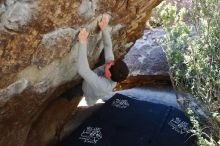 Bouldering in Hueco Tanks on 02/16/2020 with Blue Lizard Climbing and Yoga

Filename: SRM_20200216_1215140.jpg
Aperture: f/4.5
Shutter Speed: 1/320
Body: Canon EOS-1D Mark II
Lens: Canon EF 16-35mm f/2.8 L