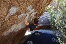 Bouldering in Hueco Tanks on 02/16/2020 with Blue Lizard Climbing and Yoga

Filename: SRM_20200216_1215520.jpg
Aperture: f/5.0
Shutter Speed: 1/320
Body: Canon EOS-1D Mark II
Lens: Canon EF 16-35mm f/2.8 L