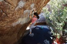 Bouldering in Hueco Tanks on 02/16/2020 with Blue Lizard Climbing and Yoga

Filename: SRM_20200216_1222341.jpg
Aperture: f/5.0
Shutter Speed: 1/250
Body: Canon EOS-1D Mark II
Lens: Canon EF 16-35mm f/2.8 L